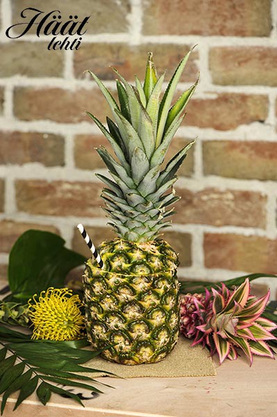 Trooppisessa daiquiri-drinkissä näkyy ja maistuu raikas ananas