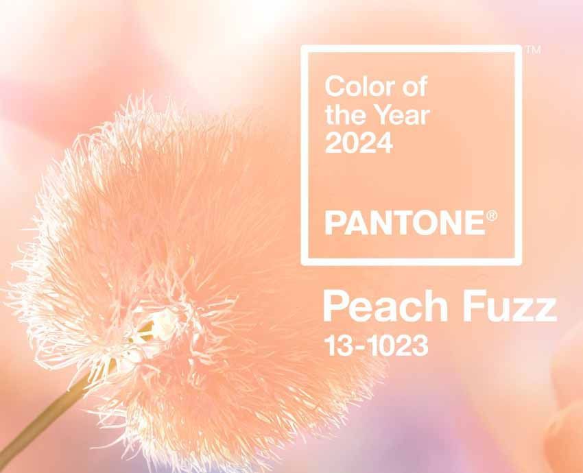 Pantone color of the year 2024 Peach Fuzz
